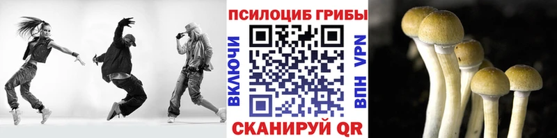 Галлюциногенные грибы Psilocybine cubensis  закладки  Змеиногорск 