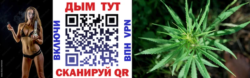 дарк нет наркотические препараты  Змеиногорск  Марихуана тримм 